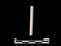 骨針藏品圖，第1張