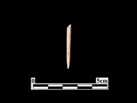 骨針藏品圖，第1張