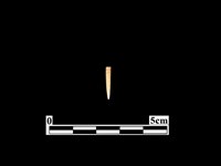 骨針藏品圖，第1張