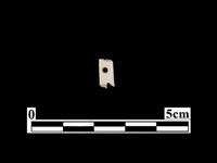 骨針藏品圖，第1張