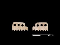 骨飾藏品圖，第1張