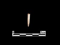 骨針藏品圖，第1張