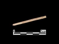 骨針藏品圖，第1張