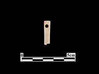 骨針藏品圖，第1張