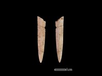 骨簪藏品圖，第1張