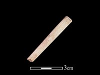 骨簪藏品圖，第2張