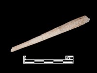 骨器藏品圖，第1張