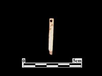 骨針藏品圖，第2張