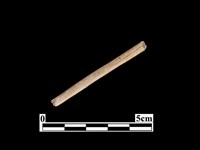 骨器藏品圖，第1張