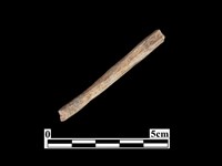 骨器藏品圖，第1張