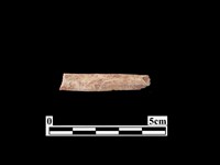 骨器藏品圖，第1張