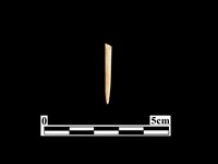 骨針藏品圖，第1張