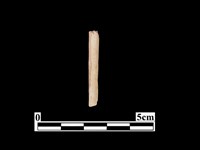 骨器藏品圖，第1張