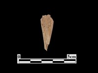 骨鏃藏品圖，第1張