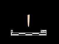 骨針藏品圖，第1張