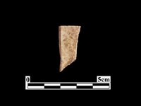 骨器藏品圖，第1張