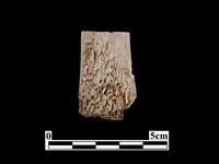 骨器藏品圖，第2張