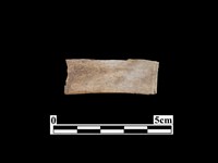 骨器藏品圖，第2張