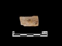 骨器藏品圖，第2張