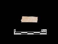 骨器藏品圖，第1張