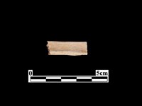 骨器藏品圖，第2張