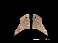 骨飾藏品圖，第1張