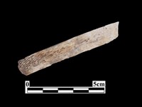 骨器藏品圖，第2張