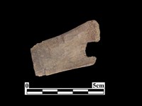 骨器藏品圖，第1張