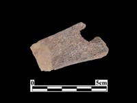 骨器藏品圖，第2張