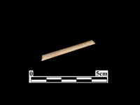 骨針藏品圖，第1張