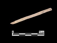 骨器藏品圖，第2張