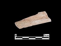 骨器藏品圖，第2張