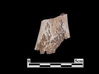 骨器藏品圖，第2張