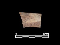 骨器藏品圖，第1張