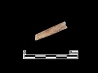 骨器藏品圖，第2張