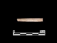 骨器藏品圖，第1張