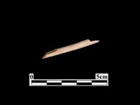 骨器藏品圖，第1張