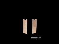 骨簪藏品圖，第1張