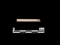 骨飾藏品圖，第1張