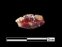 玻璃珠藏品圖，第2張