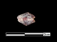 玻璃珠藏品圖，第1張