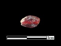 玻璃珠藏品圖，第3張