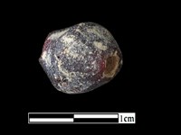 玻璃珠藏品圖，第1張