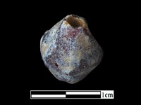 玻璃珠藏品圖，第2張