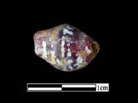 玻璃珠藏品圖，第1張