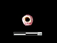 玻璃珠藏品圖，第2張