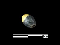 玻璃珠藏品圖，第1張