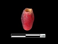 玻璃珠藏品圖，第2張