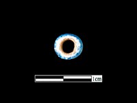 玻璃珠藏品圖，第2張