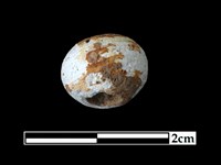 玻璃珠藏品圖，第2張